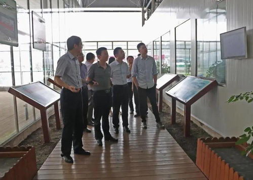 光明食品集團(tuán)深入調(diào)研星輝蔬菜產(chǎn)業(yè)發(fā)展，助力市場戰(zhàn)略優(yōu)化